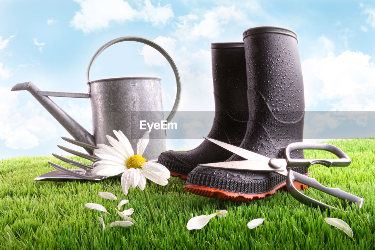 plant, grass, flower, flowering plant, nature, cloud, sky, no people, beauty in nature, freshness, green, growth, plain, summer, lawn, daisy, outdoors, springtime, day, meadow, tranquility, gardening, watering can, can, field, food and drink, gardening equipment, blue