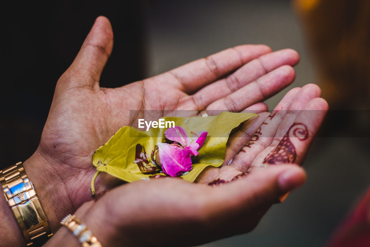 Close-up of woman hand holding pink flower with leaf outdoors