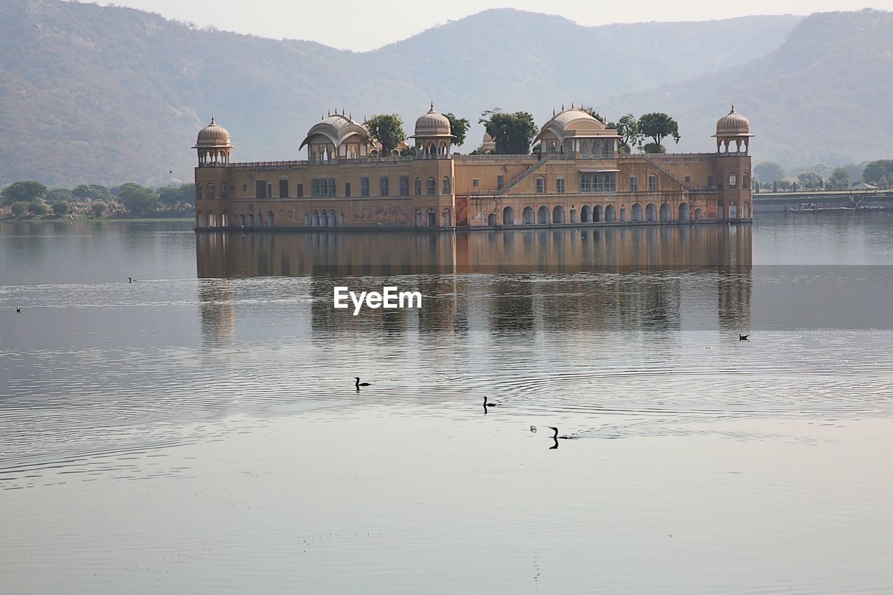 Birds in a lake