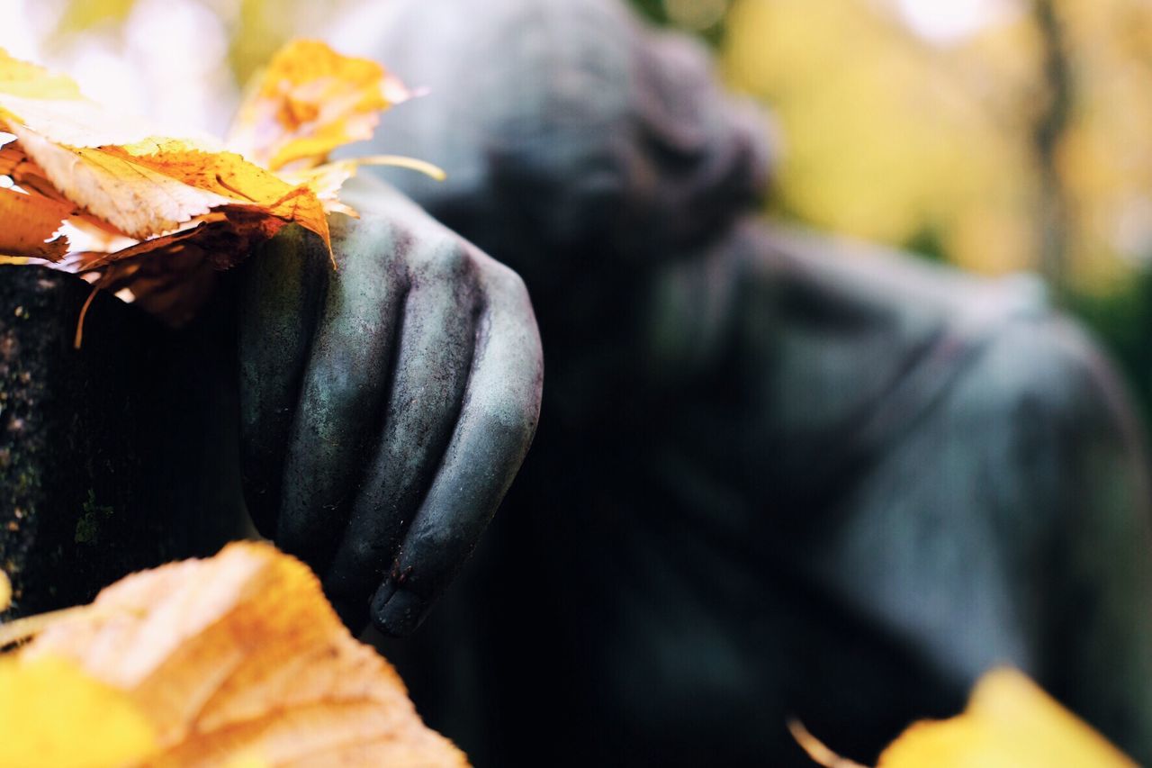 CLOSE-UP OF PUMPKIN