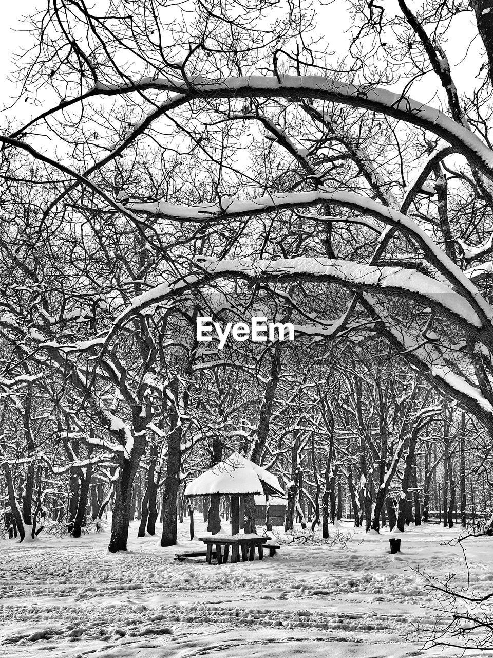 tree, black and white, snow, plant, winter, bare tree, cold temperature, nature, monochrome photography, monochrome, architecture, branch, built structure, day, building exterior, land, no people, building, tranquility, beauty in nature, outdoors, tranquil scene, covering, scenics - nature, environment, tree trunk, sky, trunk, sketch, landscape, field