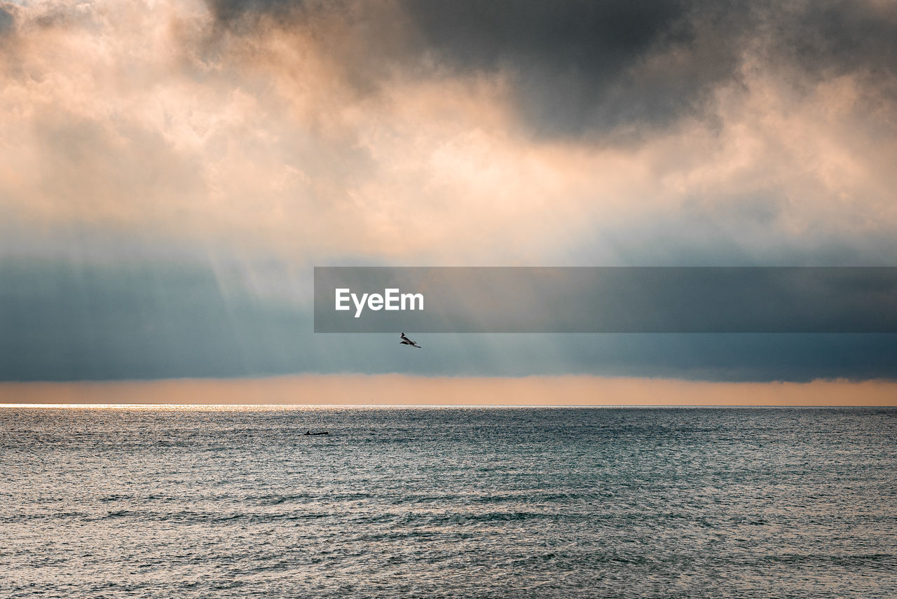 Birds flying over sea against sky