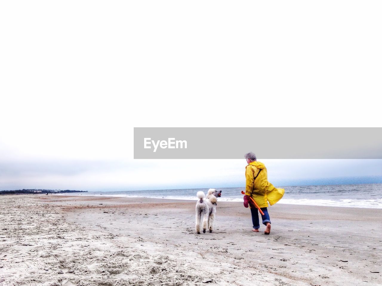 Rear view of senior woman with dog at beach against sky