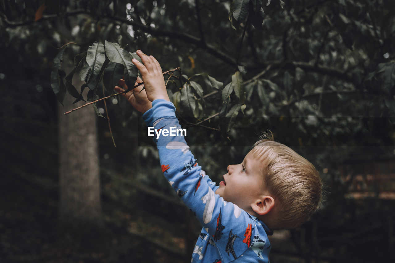 Boy holding plant outdoors