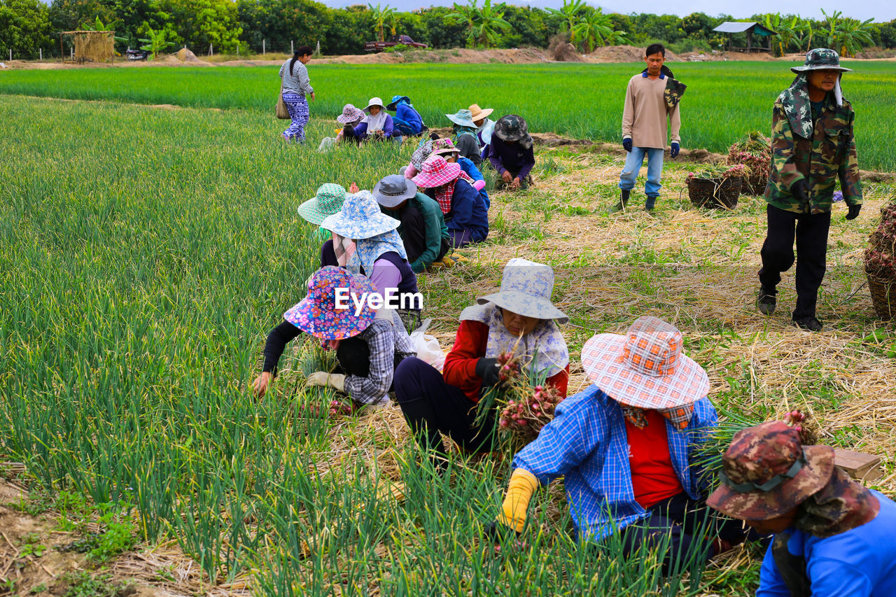 People working in farm against sky