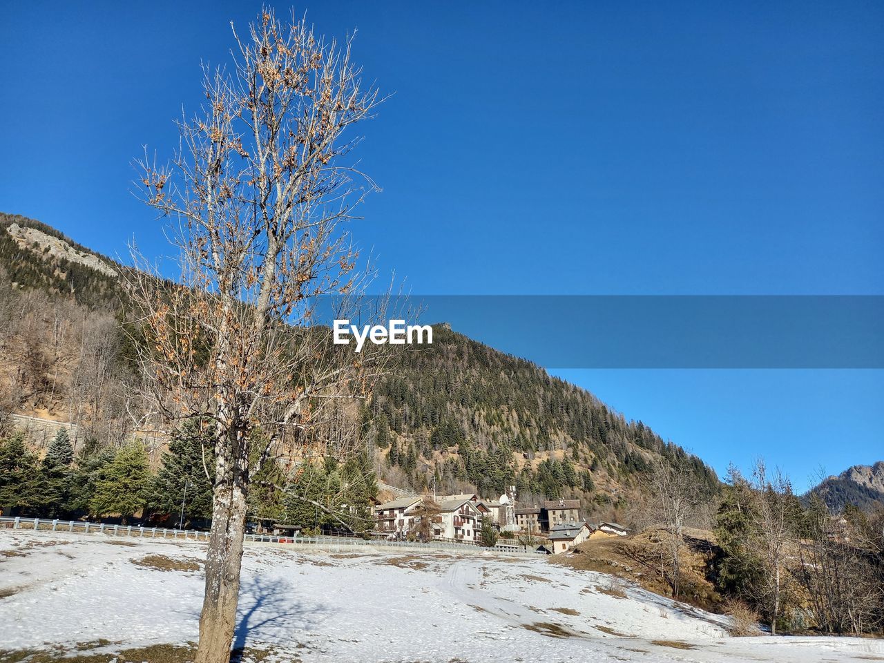 tree, sky, mountain, snow, plant, winter, wilderness, nature, scenics - nature, blue, environment, landscape, mountain range, clear sky, land, beauty in nature, no people, tranquility, pinaceae, non-urban scene, tranquil scene, day, sunny, coniferous tree, pine tree, travel, outdoors, travel destinations, valley, cold temperature, lake, ridge, sunlight, pine woodland, water, forest, tourism