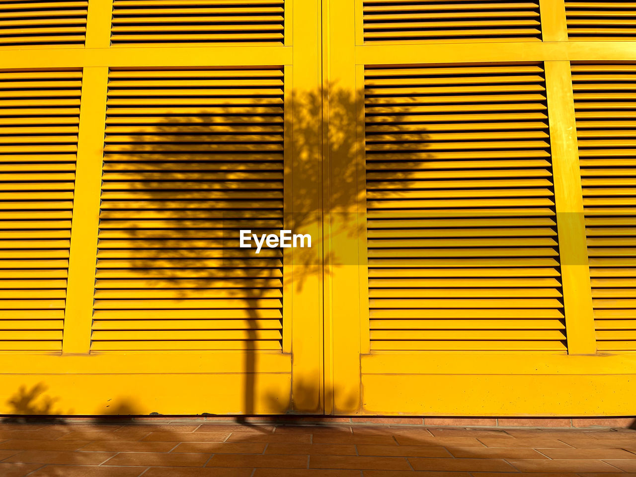 Yellow door,window shutter with reflected shadow of tree. repetition of lines. brown floor .