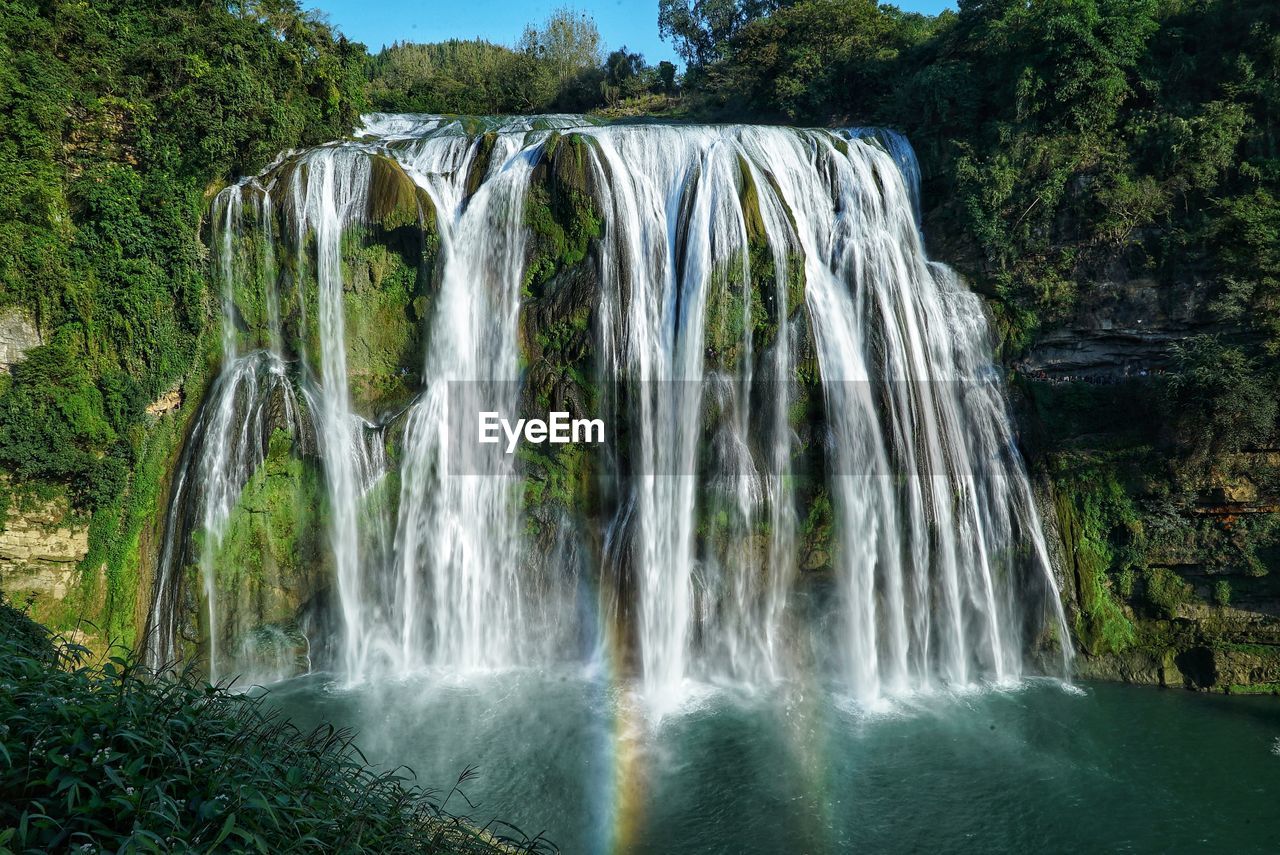 Scenic view of waterfall in forest