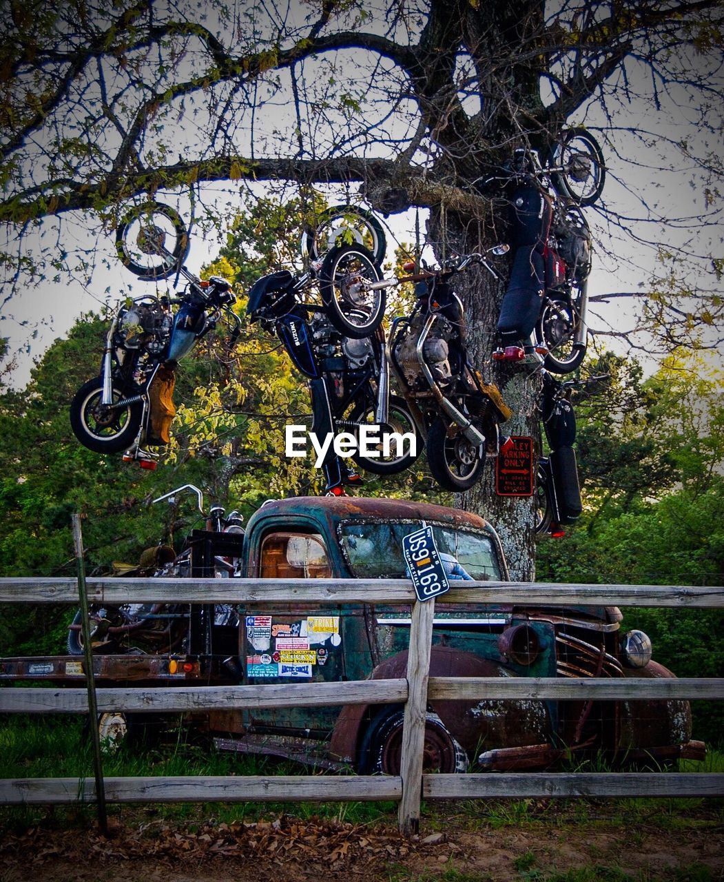 BICYCLE BY TREES