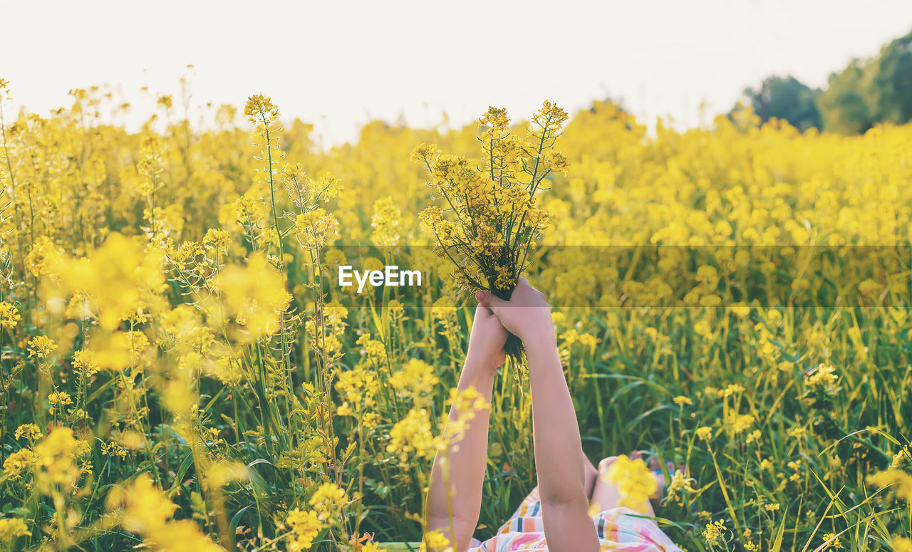 Girl holding bunch of flowers in field