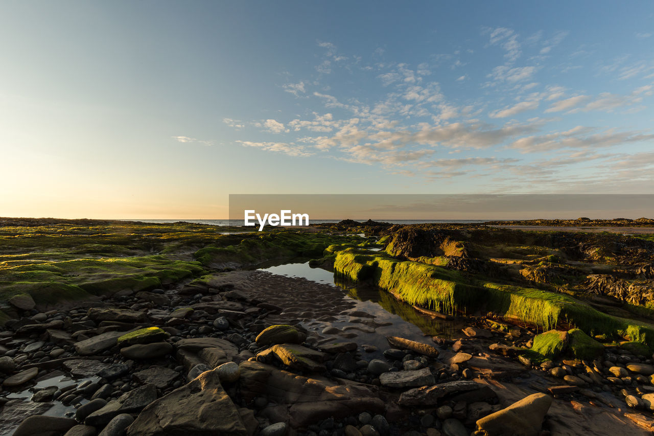 SCENIC VIEW OF ROCKS AT BEACH AGAINST SKY