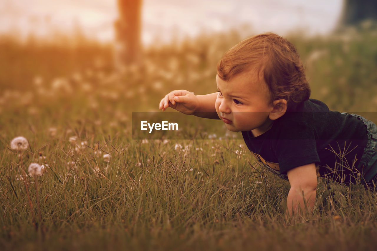 Baby boy crawling on grassy field