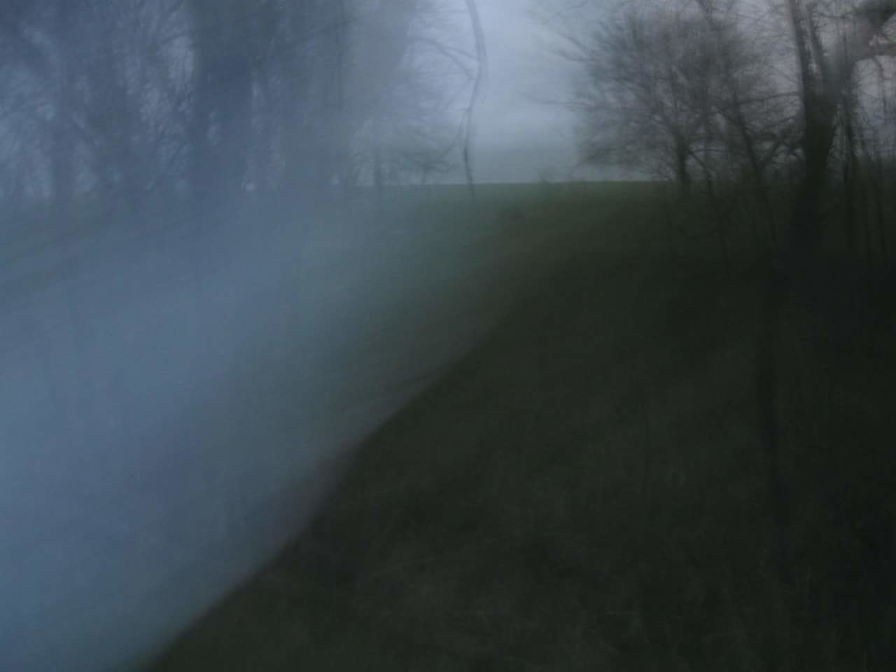 VIEW OF TREES IN FOGGY WEATHER