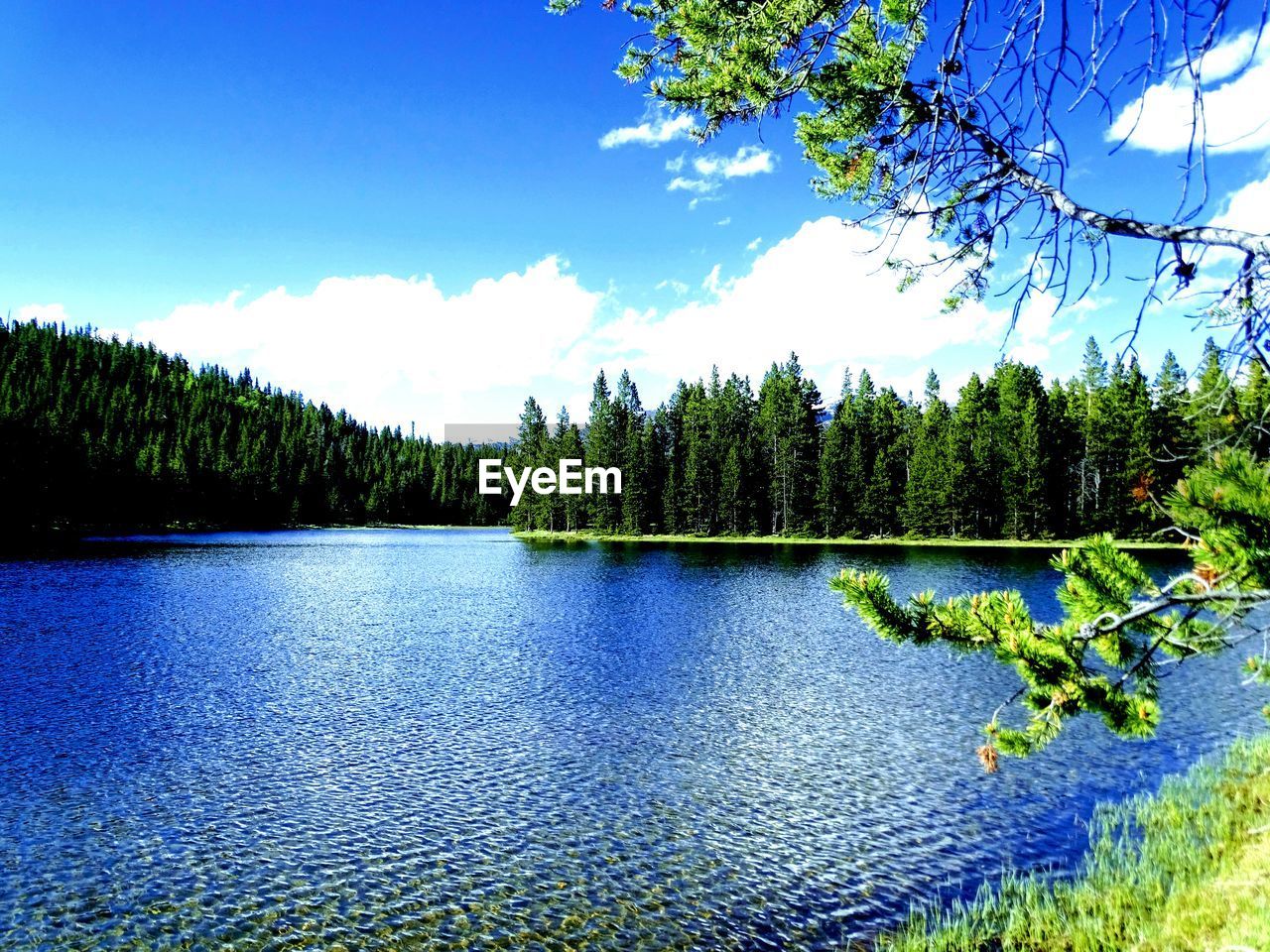 SCENIC VIEW OF LAKE AND TREES AGAINST BLUE SKY