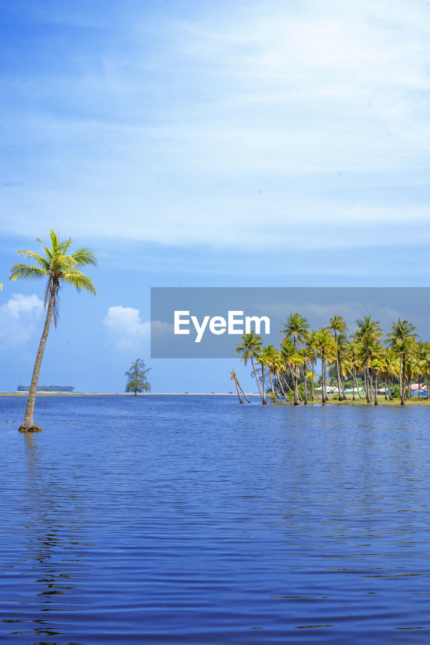 Scenic view of tropical island with coconut palm trees in a beautiful day