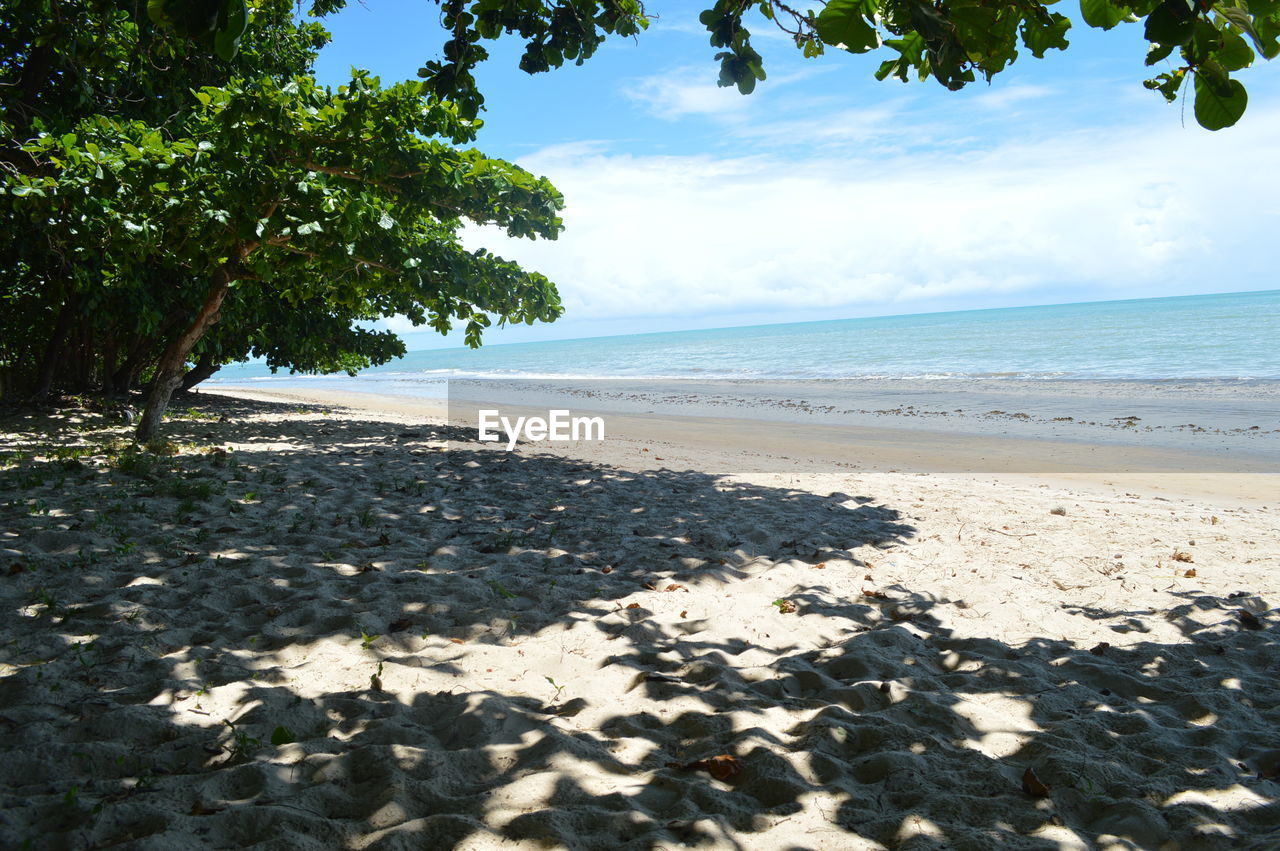 Scenic view of beach against cloudy sky