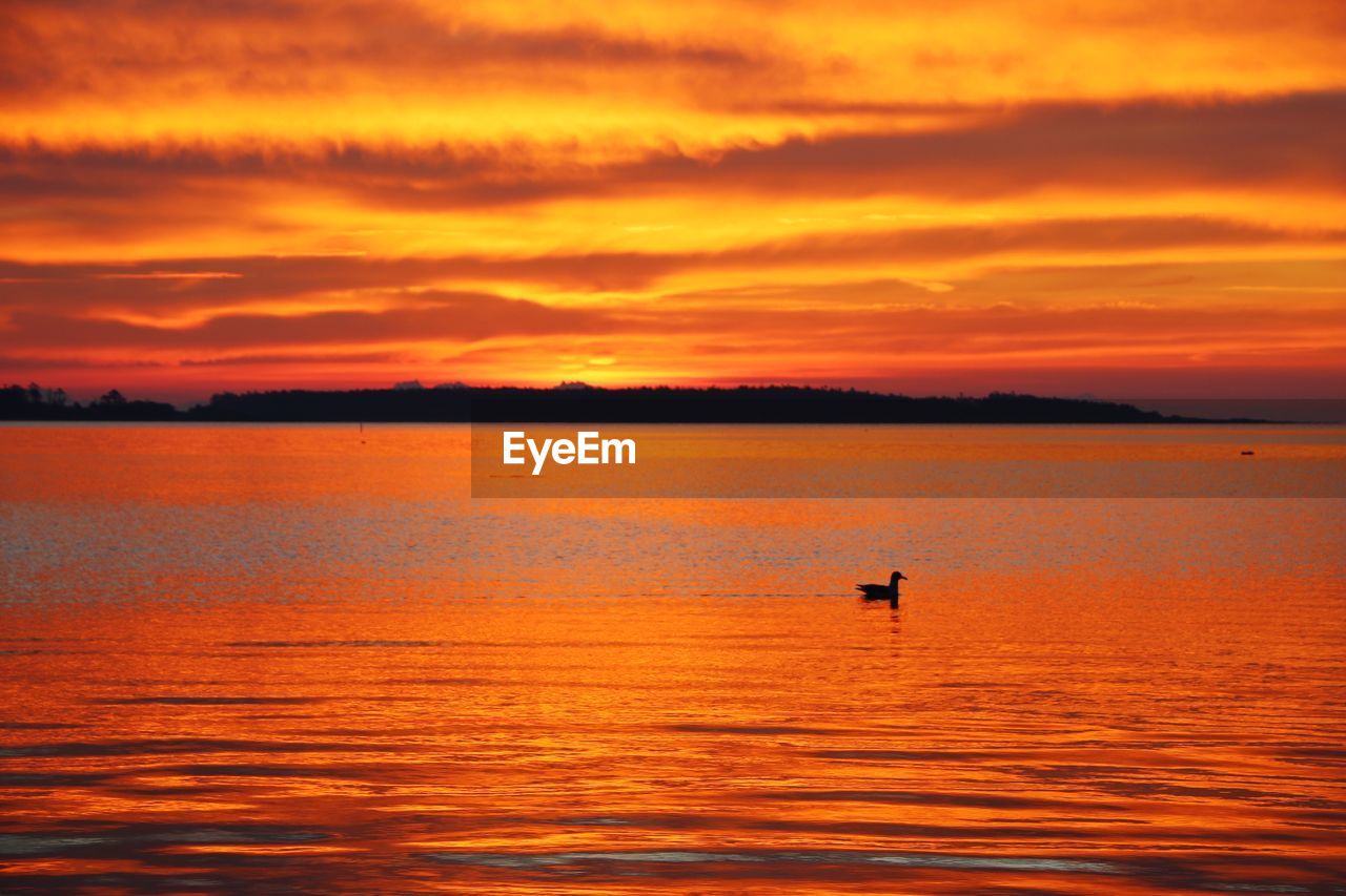 Scenic view of ocean against orange sky