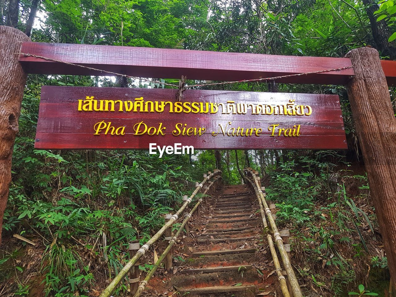 INFORMATION SIGN ON TREE TRUNK IN FOREST