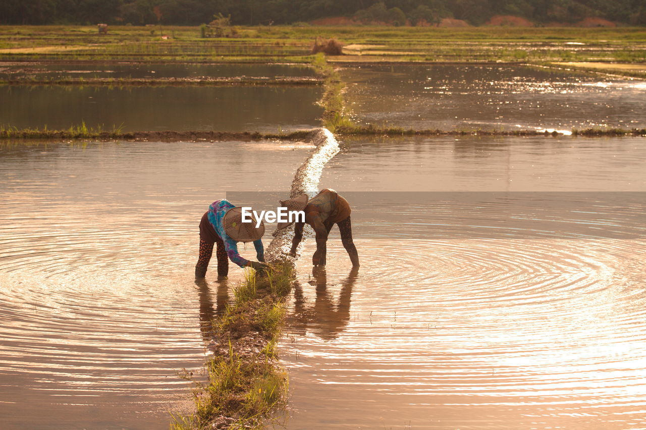 Local farmers at paddy field