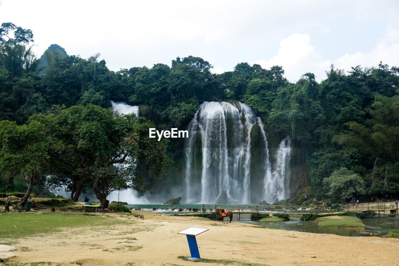 PANORAMIC VIEW OF WATERFALL AGAINST TREES