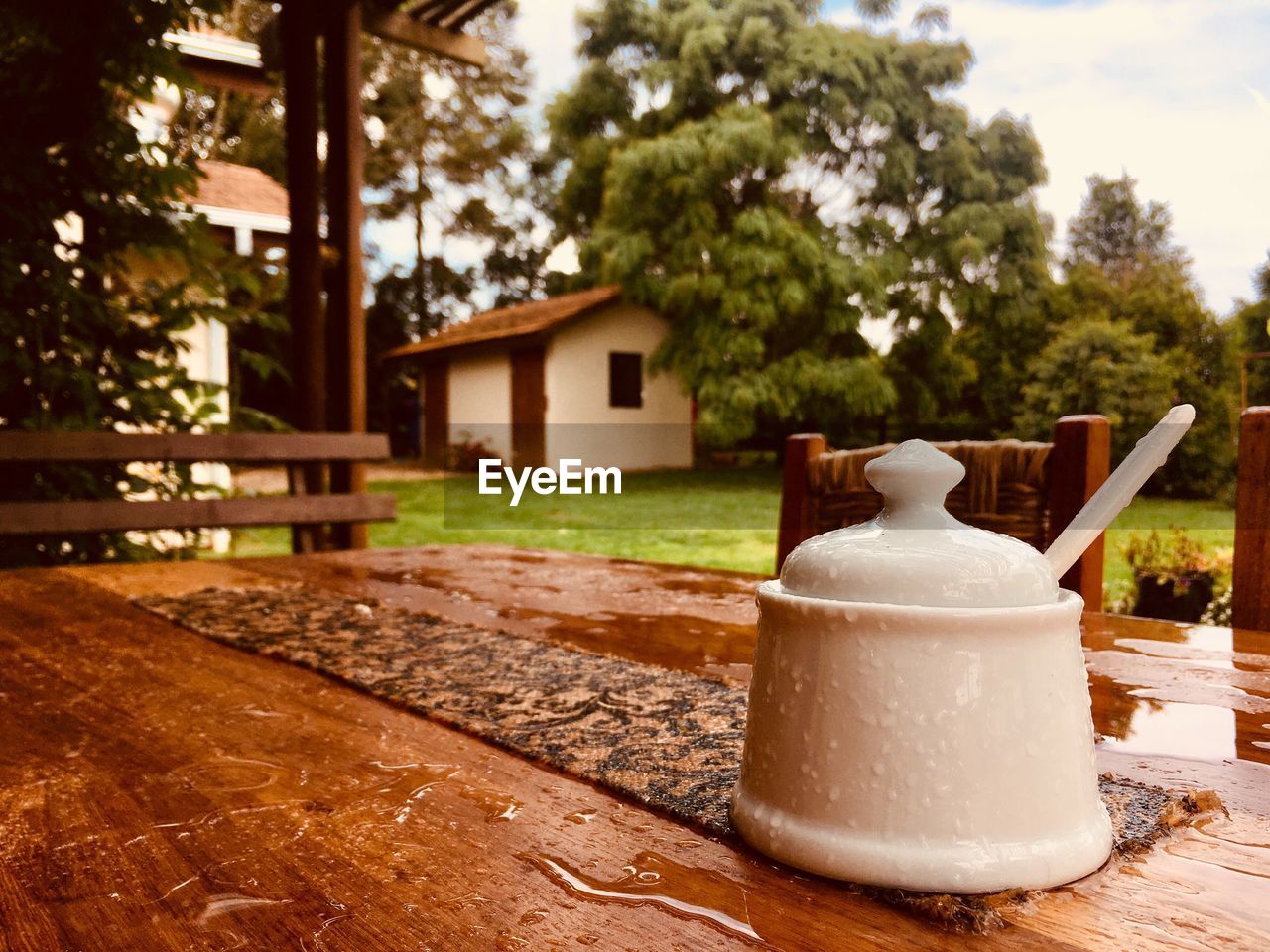 CLOSE-UP OF TEA LIGHT AGAINST TREE