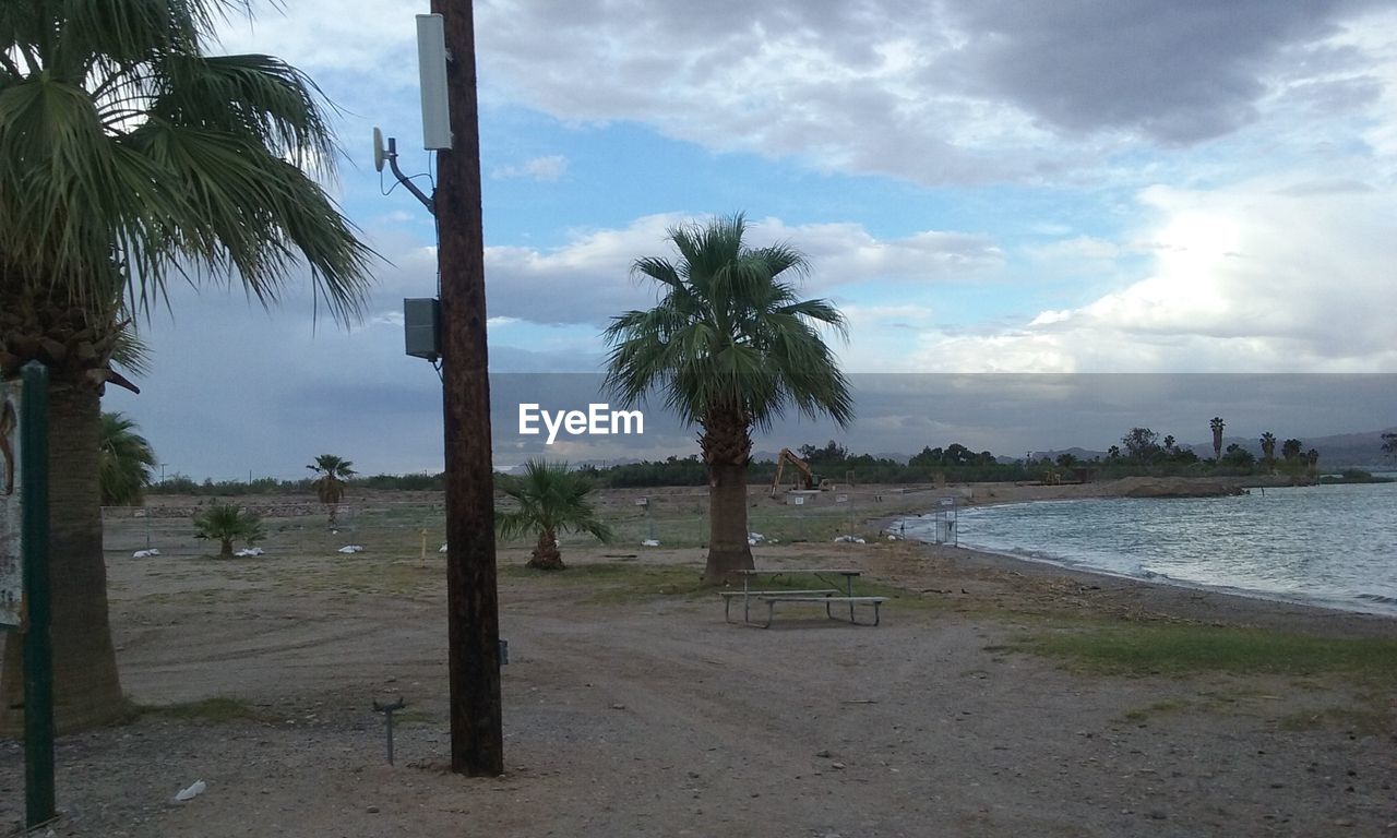 PALM TREES ON BEACH AGAINST SKY