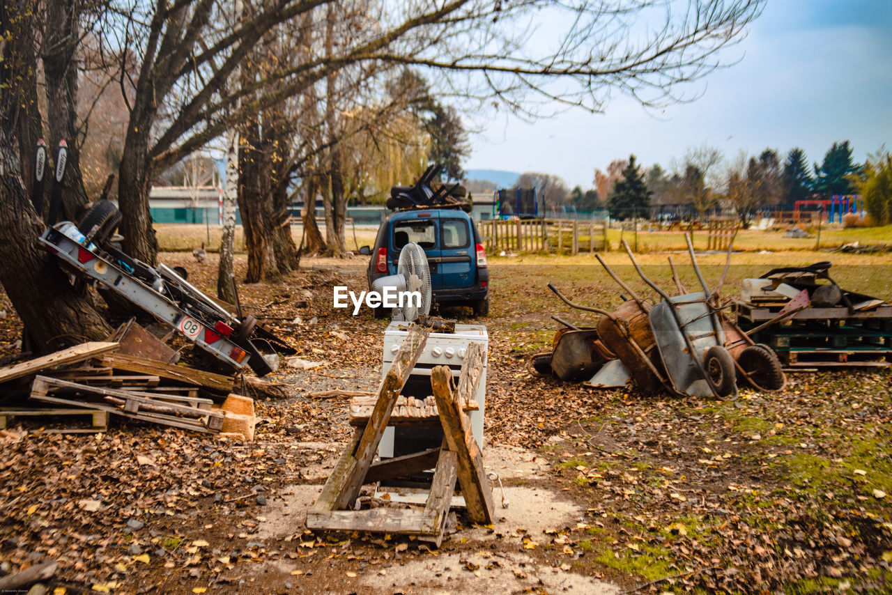 Still life at city's dump