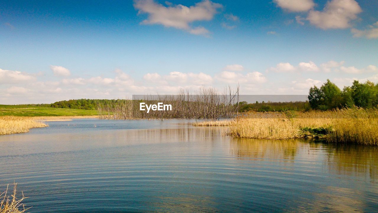 SCENIC VIEW OF LAKE WITH TREES IN BACKGROUND