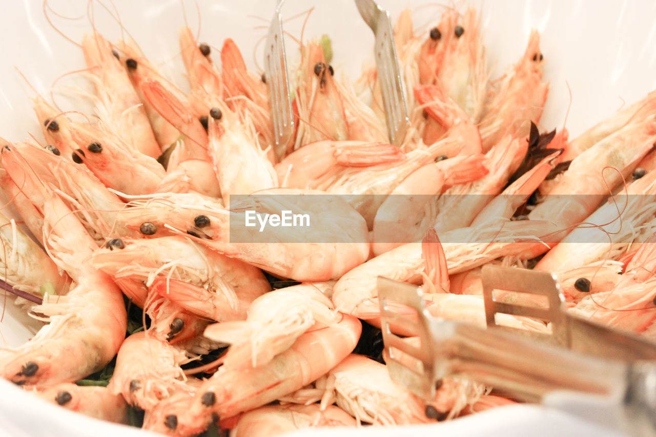 Shrimps in container