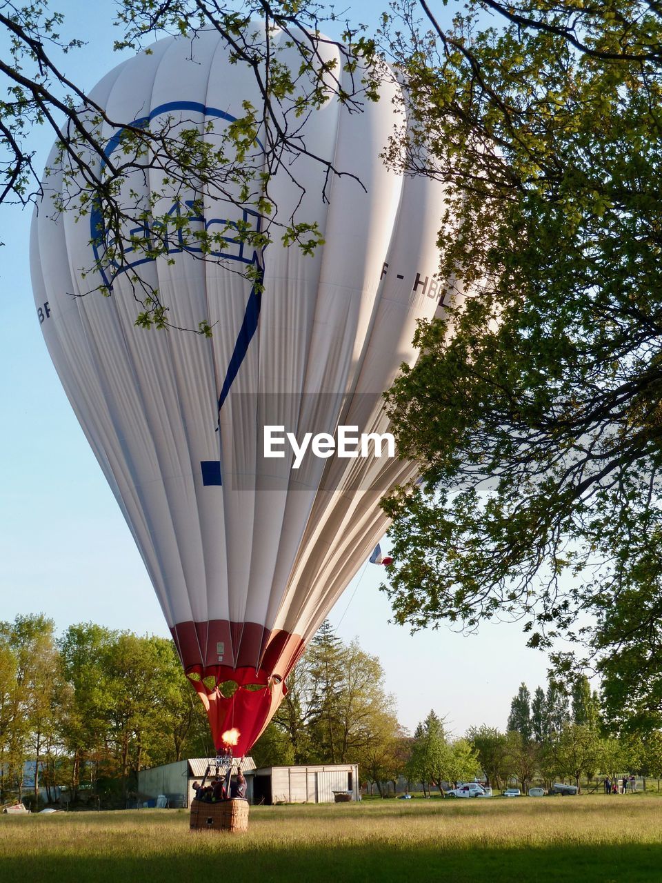 HOT AIR BALLOON FLYING OVER TREES