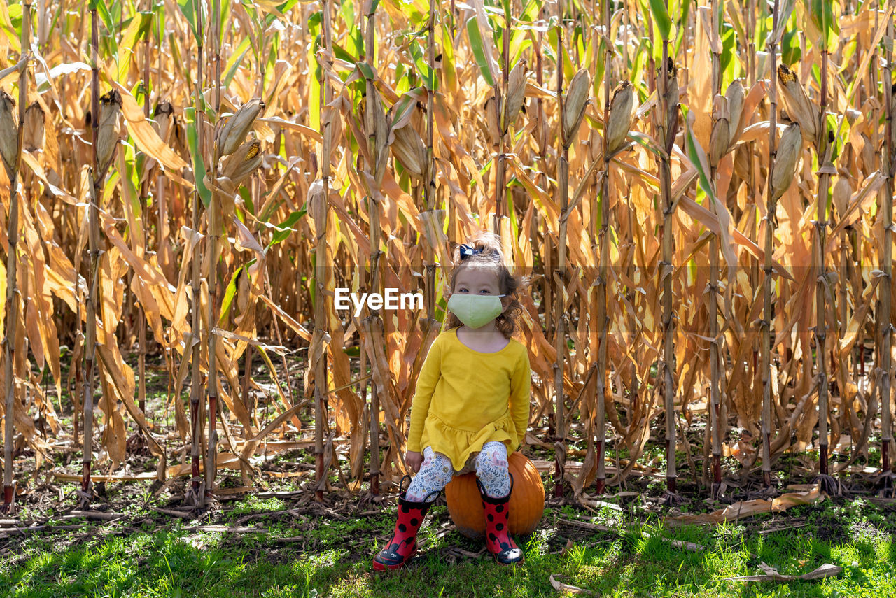 Portrait of cute girl wearing mask sitting on pumpkin at farm