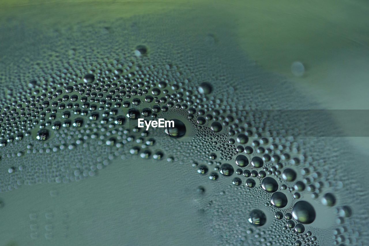 CLOSE-UP OF WATER DROPS ON GLASS OF DRINK