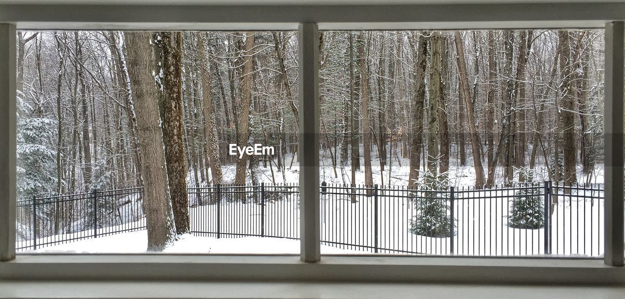 Bare trees on snow covered field seen through window