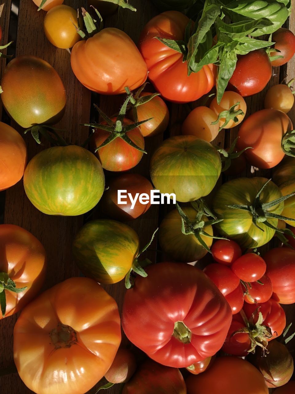 Full frame shot of tomatoes