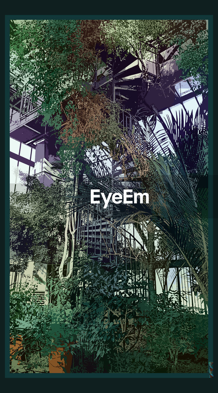 plant, transfer print, auto post production filter, tree, no people, nature, art, day, architecture, window, built structure, growth, outdoors, poster, screenshot, building exterior, building, grass