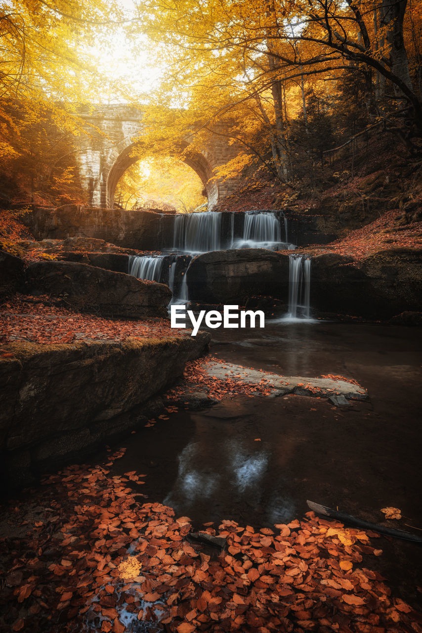 WATERFALL IN AUTUMN FOREST