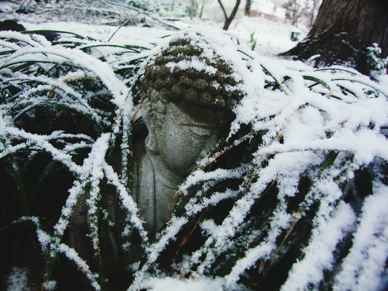 Snow covered statue of buddha