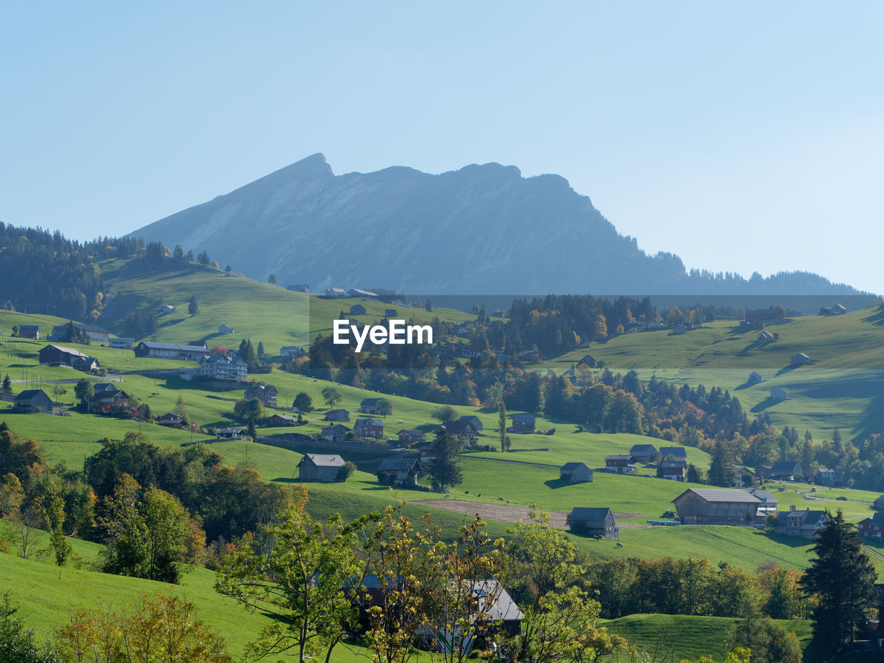 Scenic view of field against clear sky