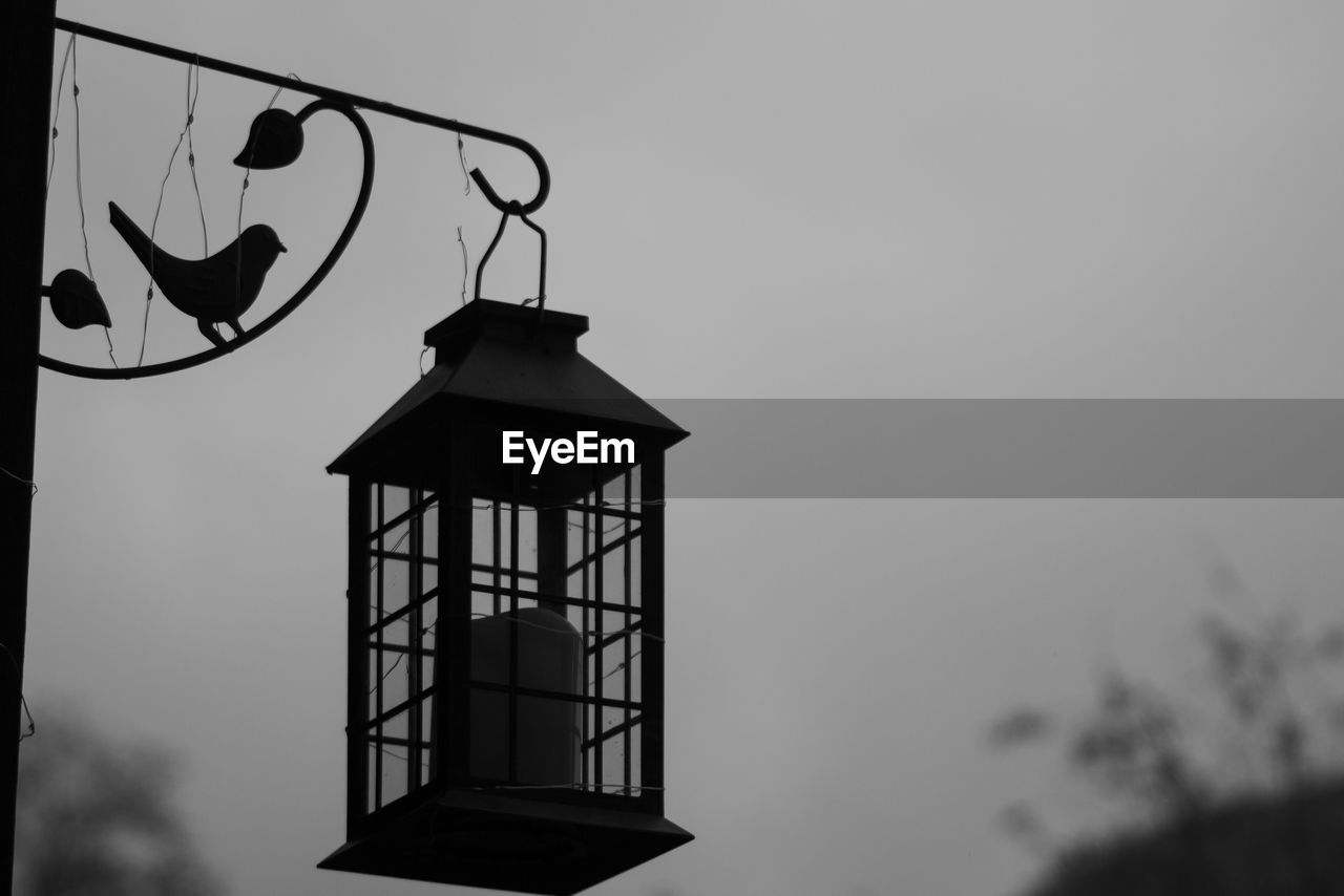 LOW ANGLE VIEW OF A SILHOUETTE BIRD AGAINST SKY