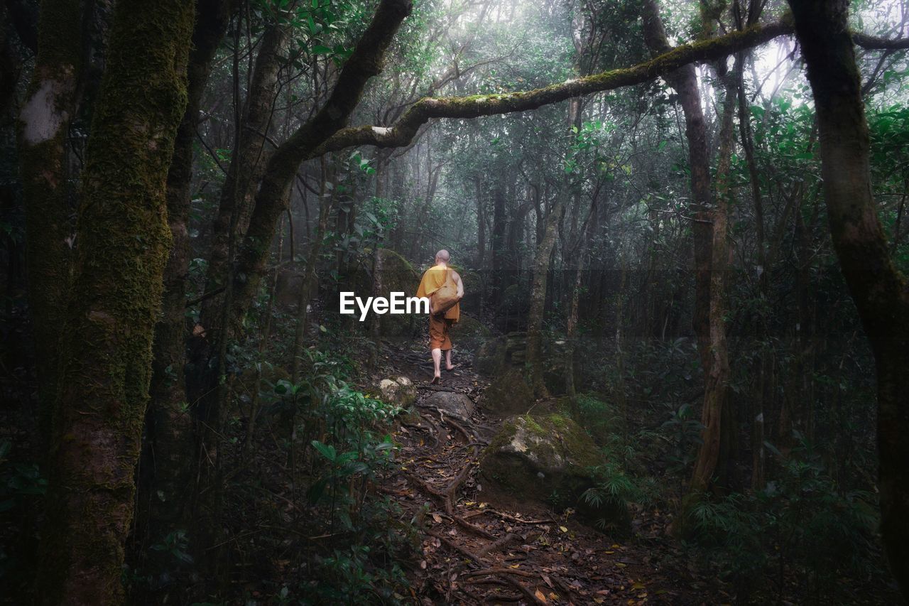 Rear view of man walking in forest