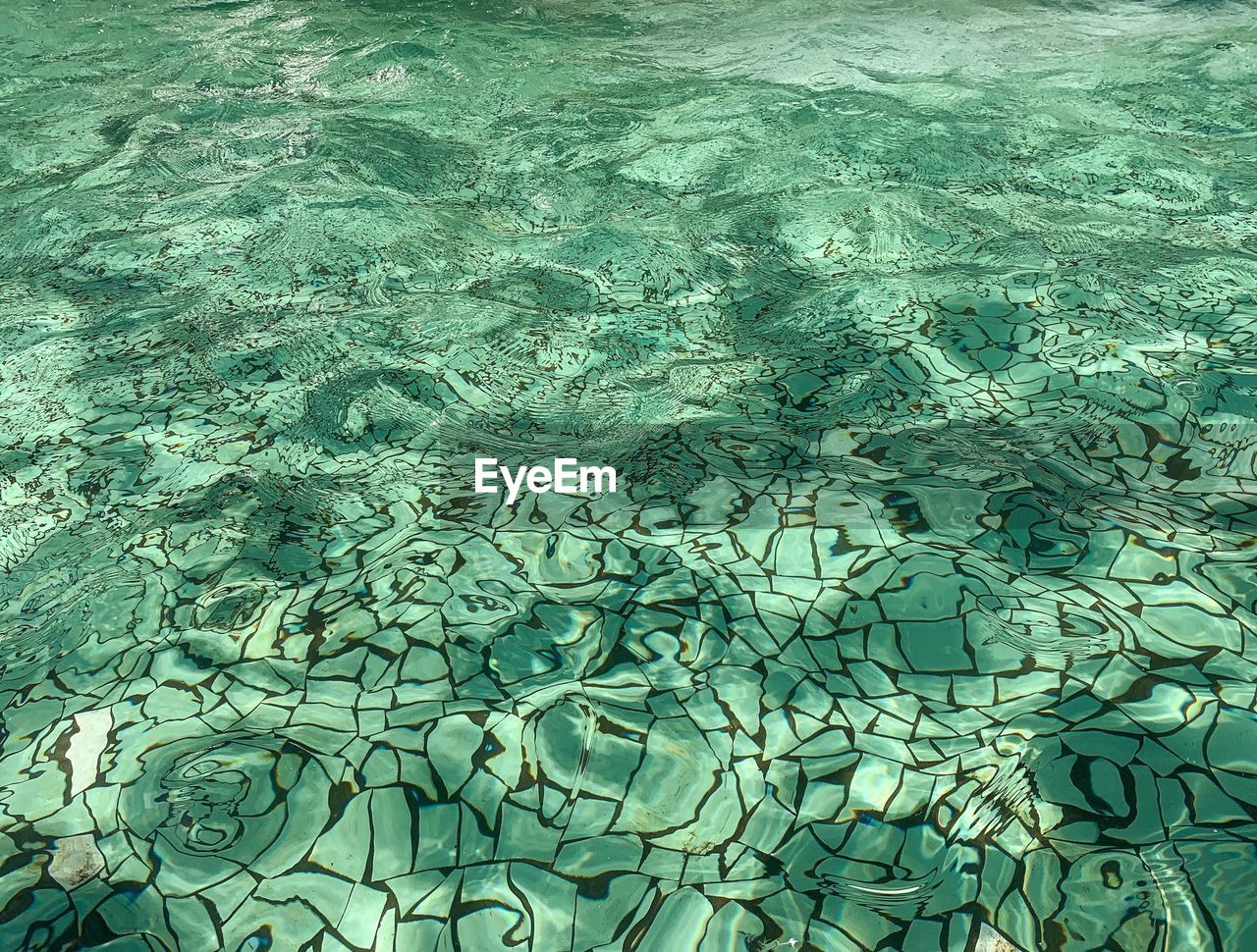 HIGH ANGLE VIEW OF FISH IN SEA