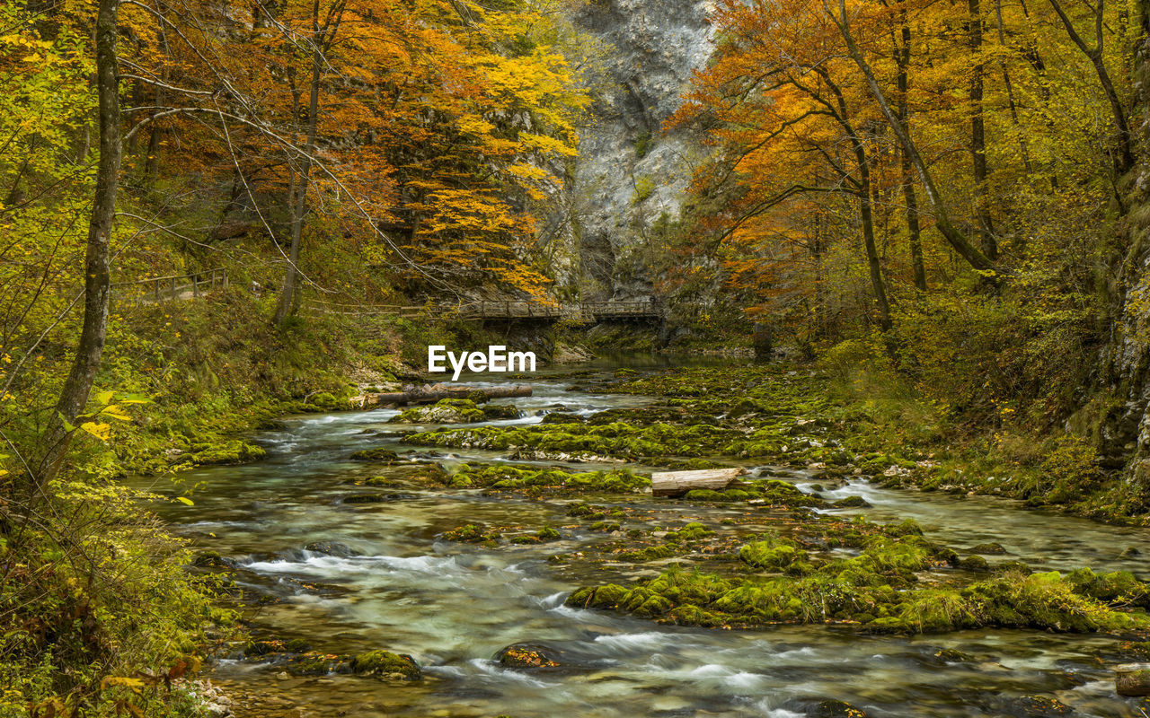 Tolmin gorge in autumn in triglav national park in slovenia