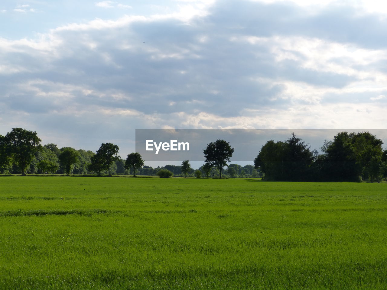 SCENIC VIEW OF FARM AGAINST SKY