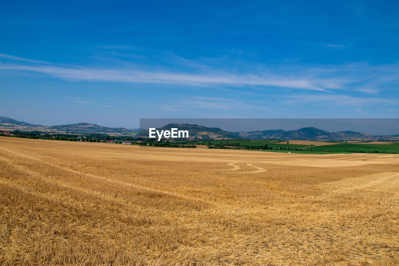 Scenic view of field against blue sky