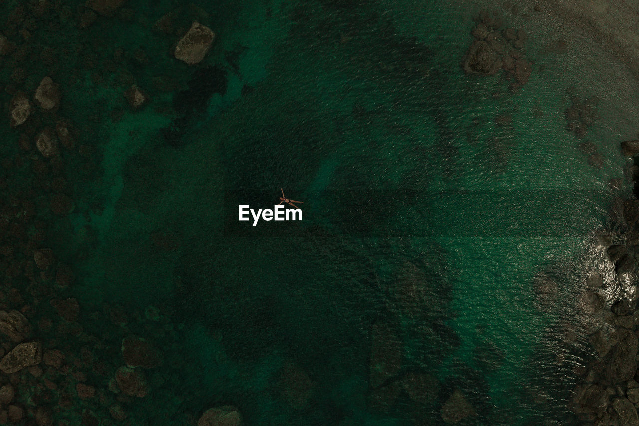 high angle view of tree