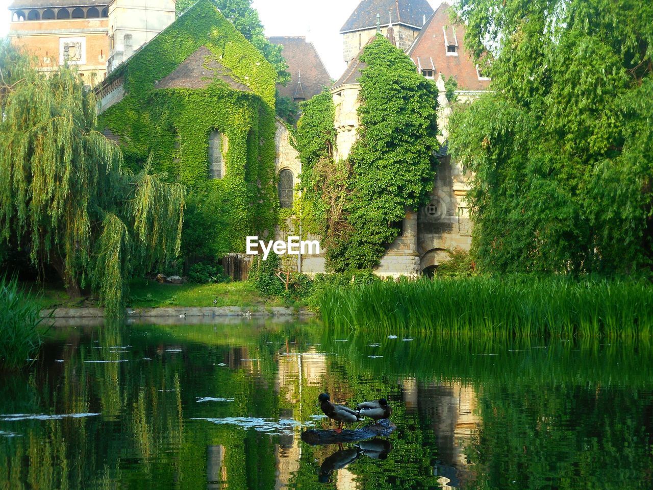 Panoramic view of lake with buildings in background