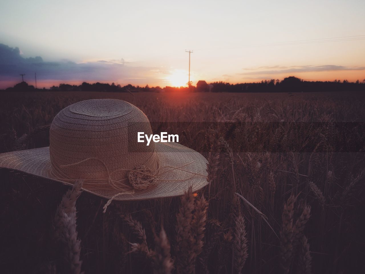 Scenic view of field against sky during sunset