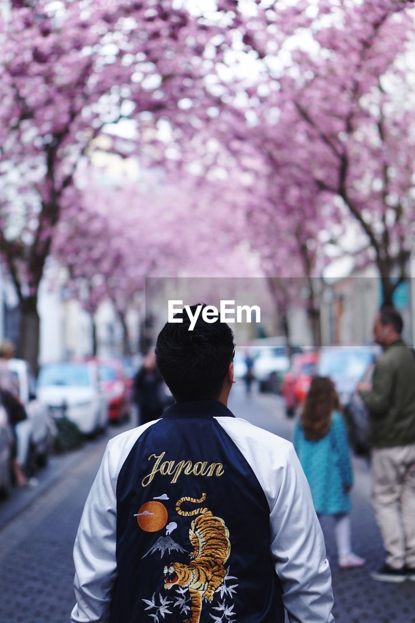 REAR VIEW OF MAN LOOKING AT CHERRY BLOSSOM