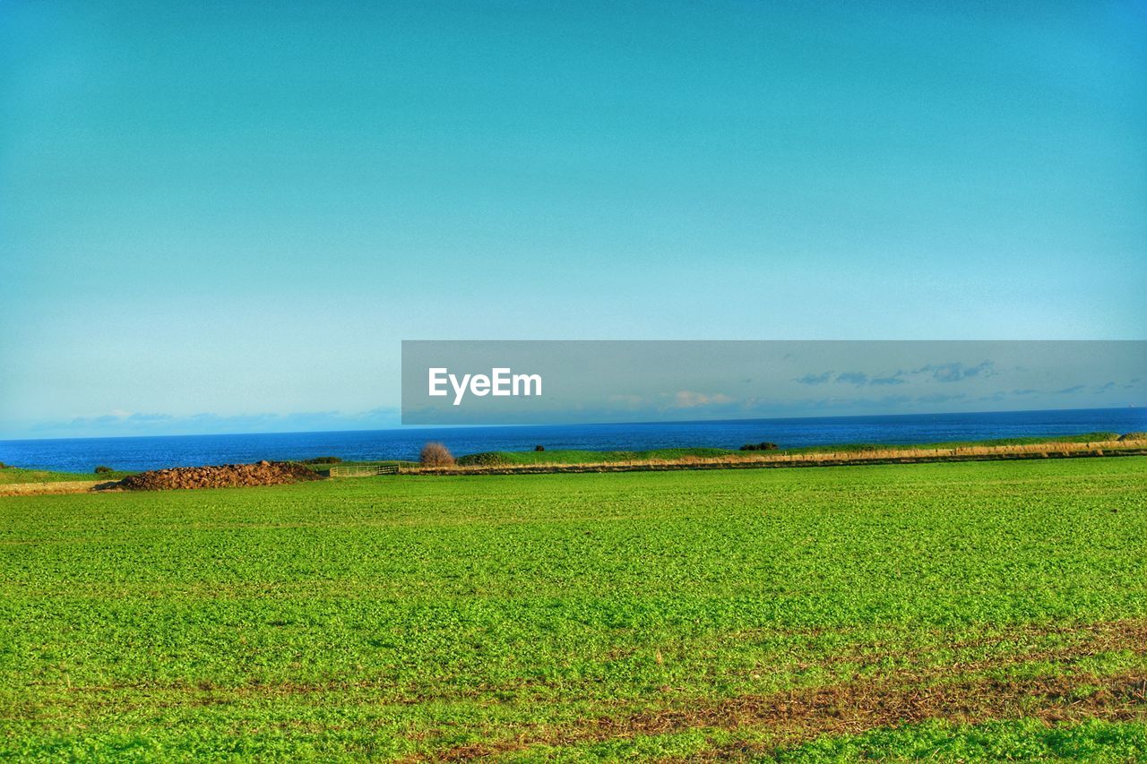 SCENIC VIEW OF FARM FIELD AGAINST SKY