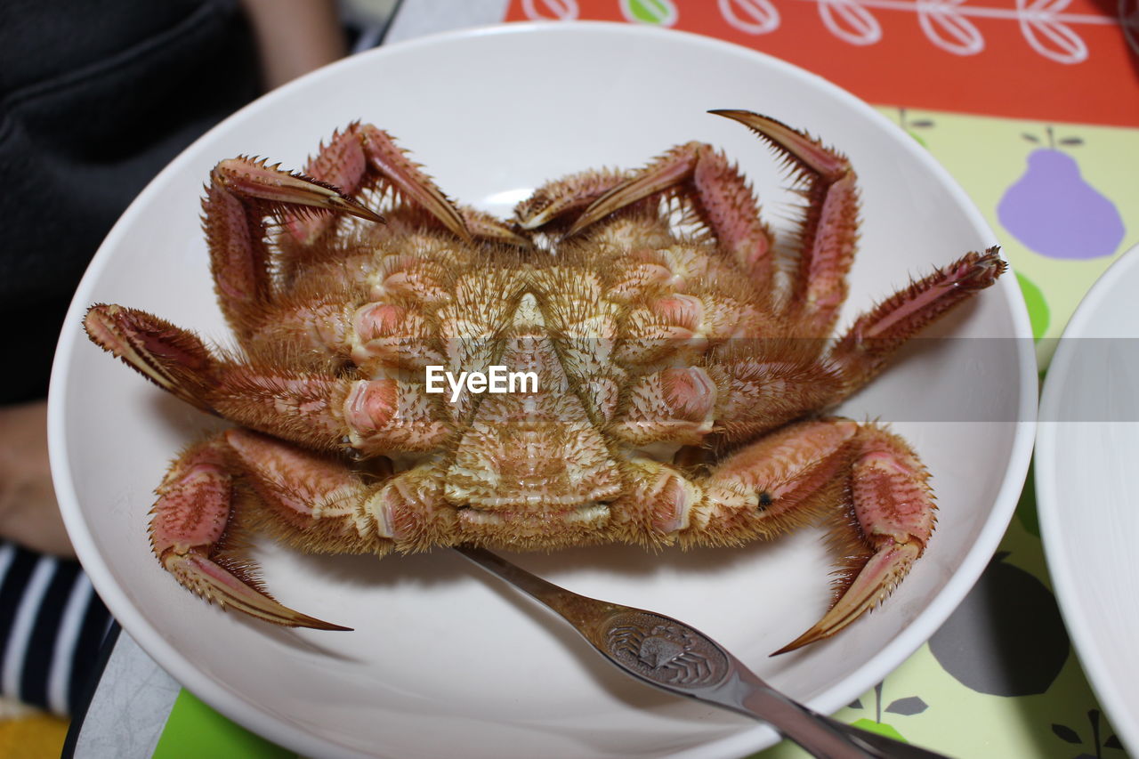 High angle view of crab in plate on table